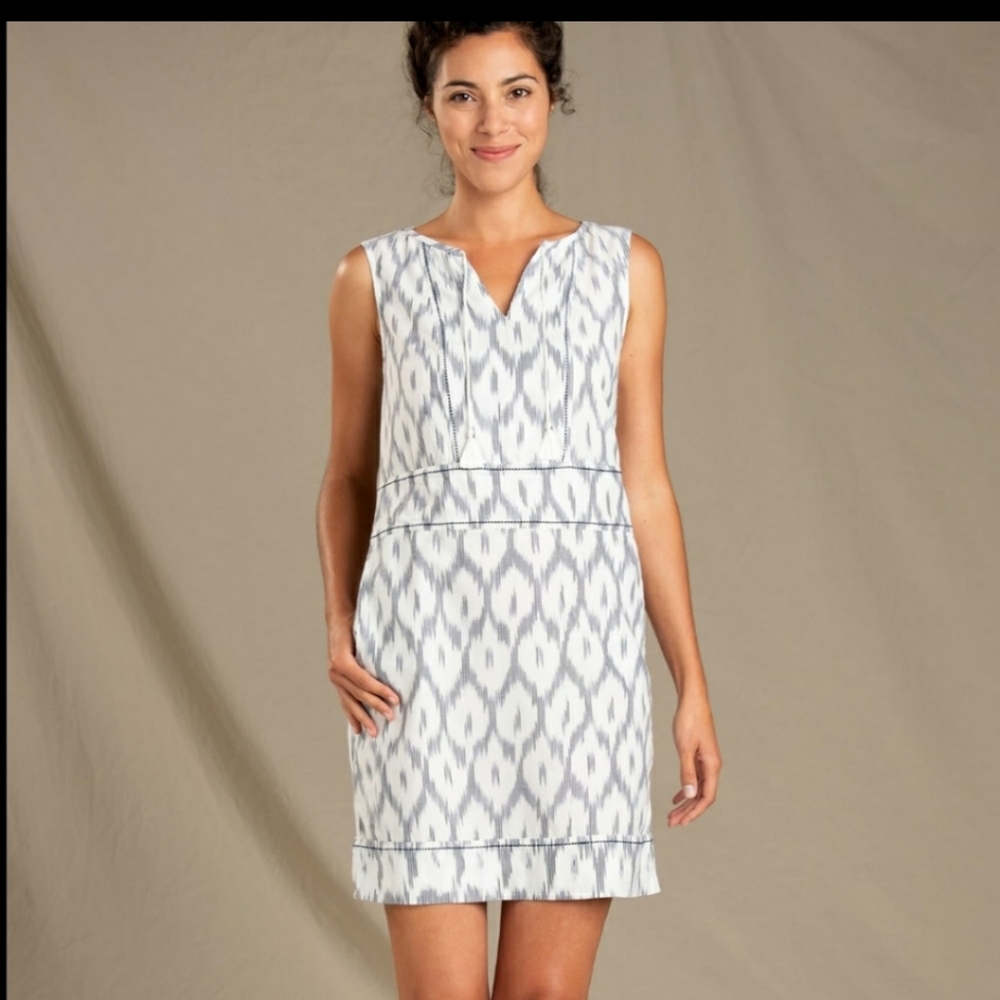 Toad & Co. Shakti Ikat Dress